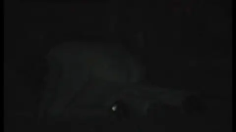 FU10 – Night Crawling 262