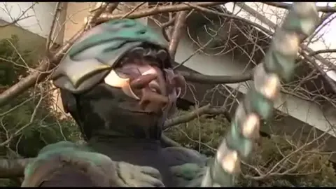 Asian Women in Colorful Costumes Posing