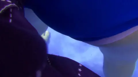 FullSize Pool – Lesbian Pool Play