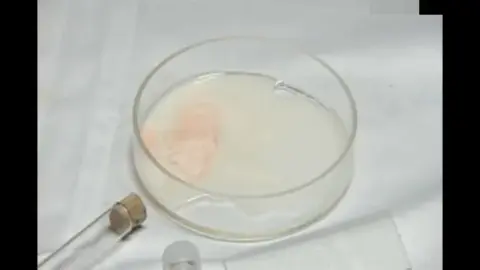 Asian Couple Intimate Moments & Bondage Scene