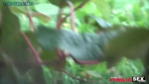 Public Sex Day 2 – Outdoor Lesbian Encounter