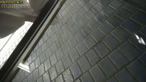 Asian Schoolgirls in Naughty Office Scenes