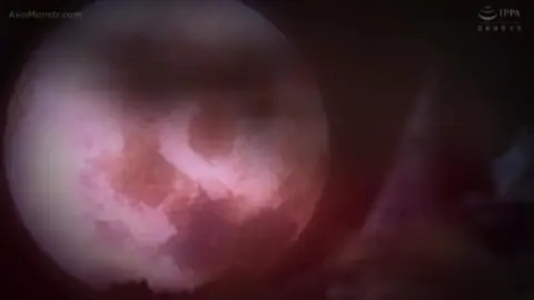 Asian Teen in Leather and Latex