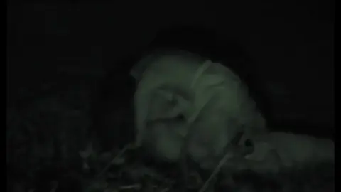 FU10 – Night Crawling 266