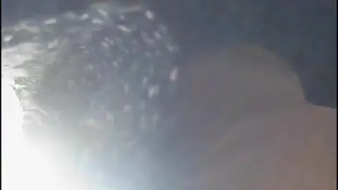 Asian Girl in Sparkly Skirt