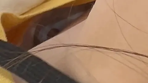 Asian woman in apron and face mask