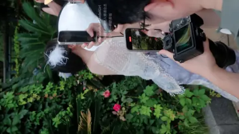 2025 bikinis – The Best Internet Celebrities 20