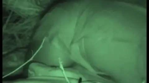 FU10 – Night Crawling 294