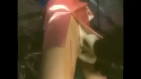 Asian Girl in Pink Outfit Performs Intimate Acts