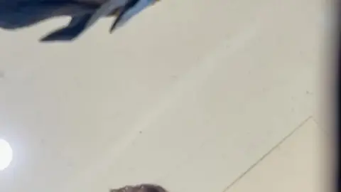 Girl Lifting Skirt and Lying Down with Phone