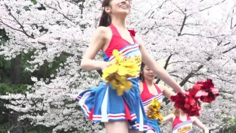 Asian Cheerleaders in Cherry Blossom Park