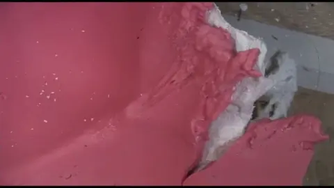 Asian Cosplay Girls in Erotic Scenes