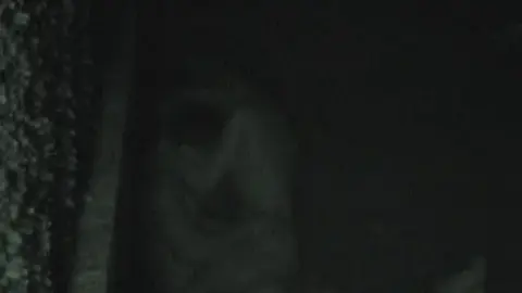 Blonde Woman Masturbating Outdoors