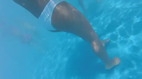 Blonde Babes Swimming Underwater
