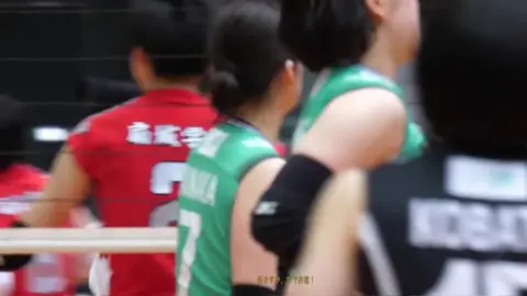 Asian Volleyball Players in Action