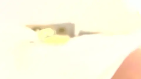 Slim Caucasian Undressing in Intimate Setting