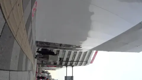 Asian Girl in Pink Skirt