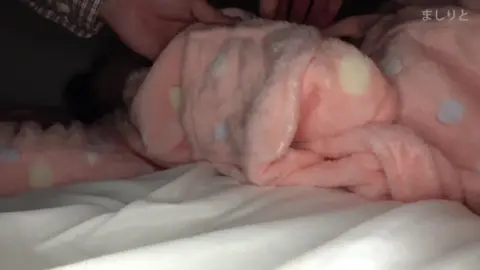 Asian Teen Masturbates in Bedroom