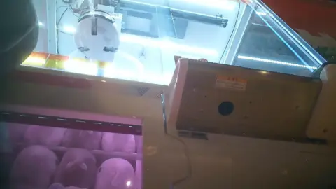 Asian Girls Intimate Moments in Public