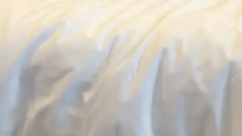 Asian Teen in White Lingerie on Bed