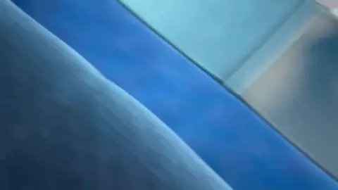 Asian Girl on Public Transport Exposing Herself