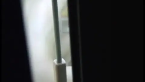 Blonde and Brunette Babes in Solo Play