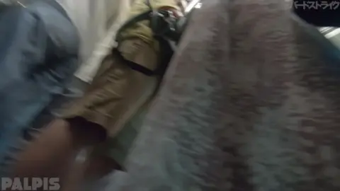 Asian Girl Exposes Herself on Train