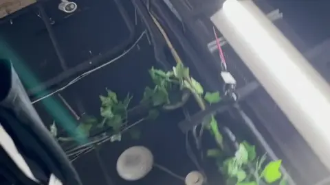 Asian Girls Intimate Moments