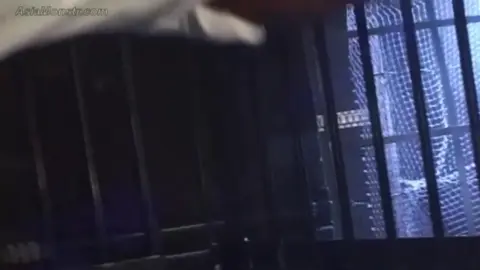 Asian BDSM Bondage and Fetish