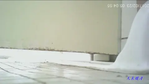 Asian Girl Urinating in Bathroom POV