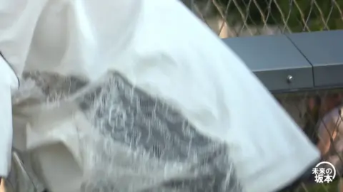 Asian Couple Outdoor Intimacy