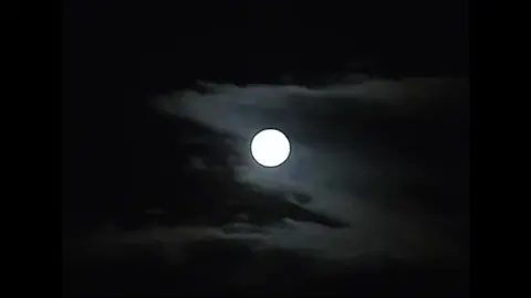 Asian Lesbians in Fetish Outfits