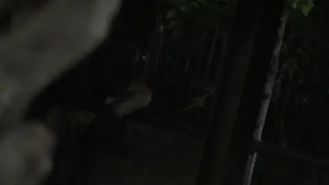 Night Watching 26 – Dark Outdoor Sex Scene