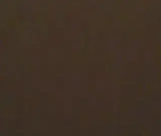 Intimate Close-Up Moments