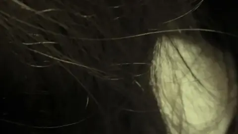 Asian Teen Masturbates in Striped Shirt