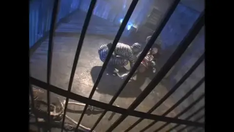 Lesbian Duo in Zebra-Print Costumes Perform Intimate Dance