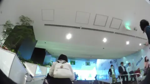 Woman Walking and Standing