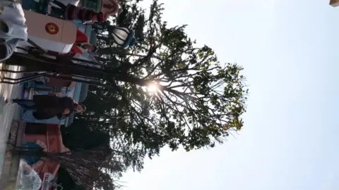 Asian Girl in Plaid Skirt and Mouse Ears at Theme Park