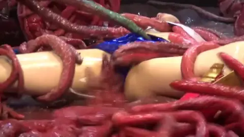 Asian Teen in Blue Bikini Entangled in Red Tentacles