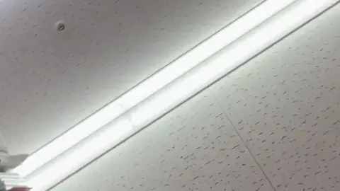 J-POP CD Shelf Sexy Tease