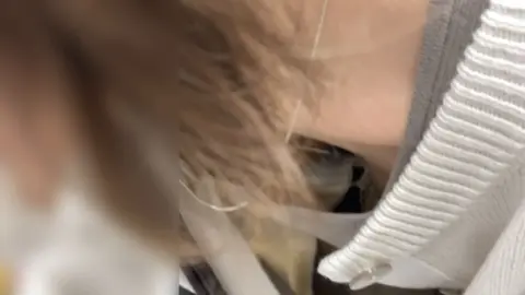 MelonSoda Spinoff – POV Tease