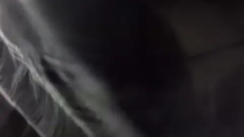 Asian Woman Masturbates in Office POV