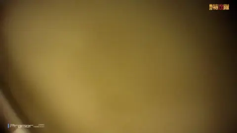 Asian girl oral sex in bathroom