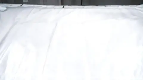 Asian Women Wrestling on Martial Arts Mat