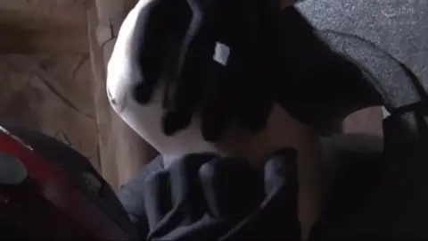 Asian Women in Bondage and Masturbation Scene