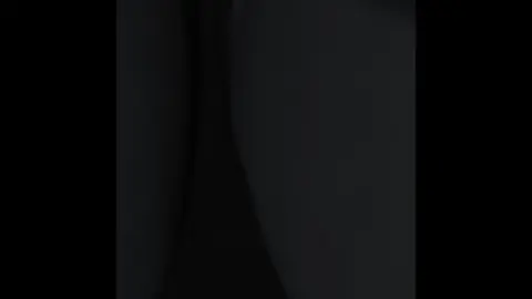 Asian Woman in Suit on Train