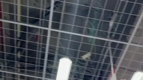 Asian Teen in Plaid Skirt