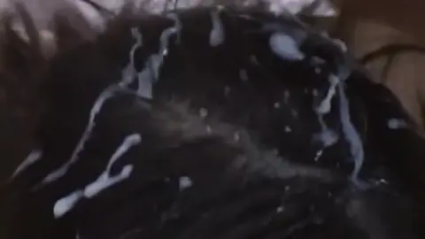 Asian Lesbians Intimate Encounter with Bondage