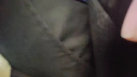 Men Intimate on Public Transport