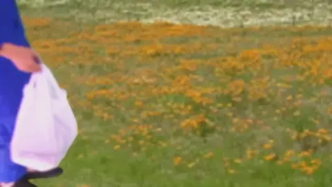 Asian Duo in Costume Interact on Stage